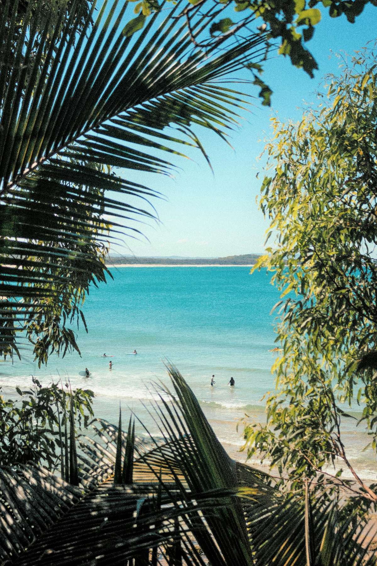 View of the beach through the treeline