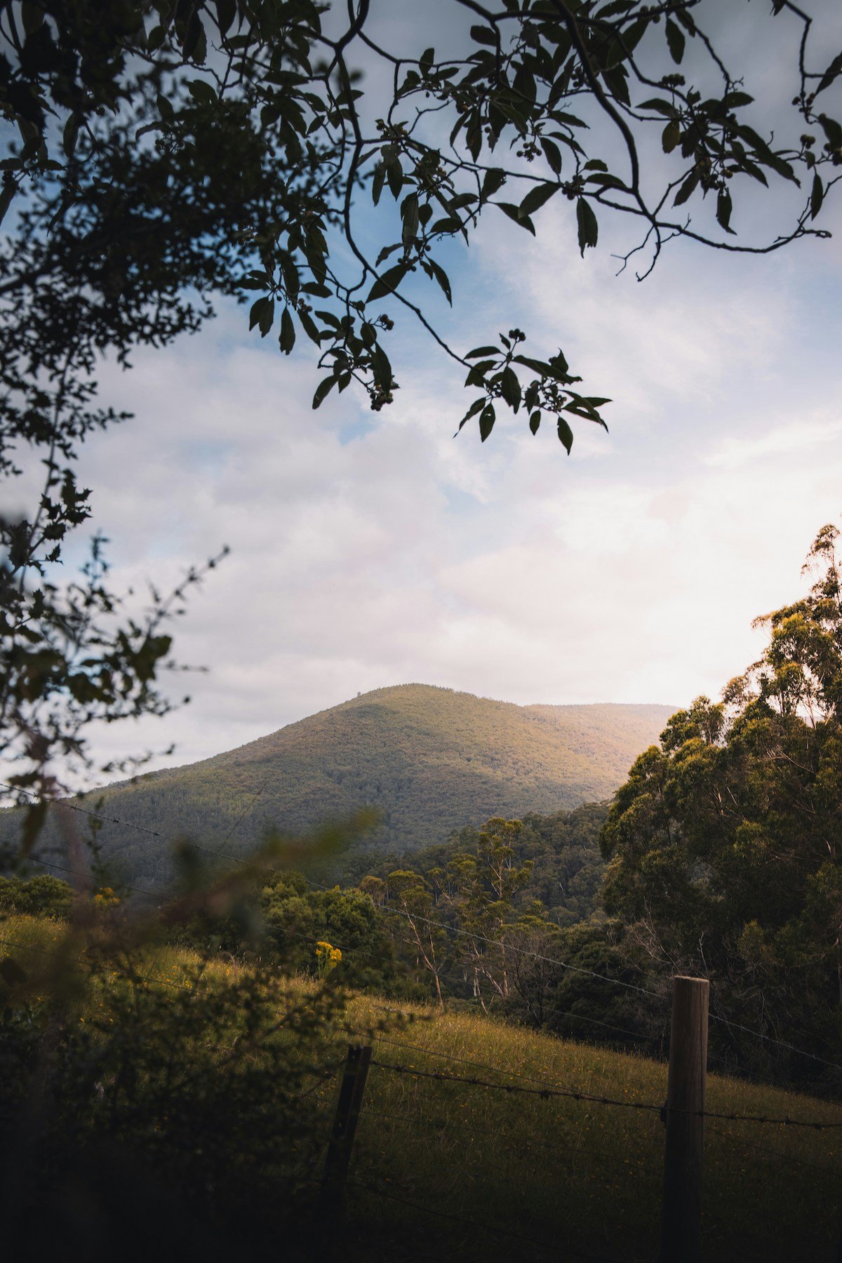 Kenilworth Country