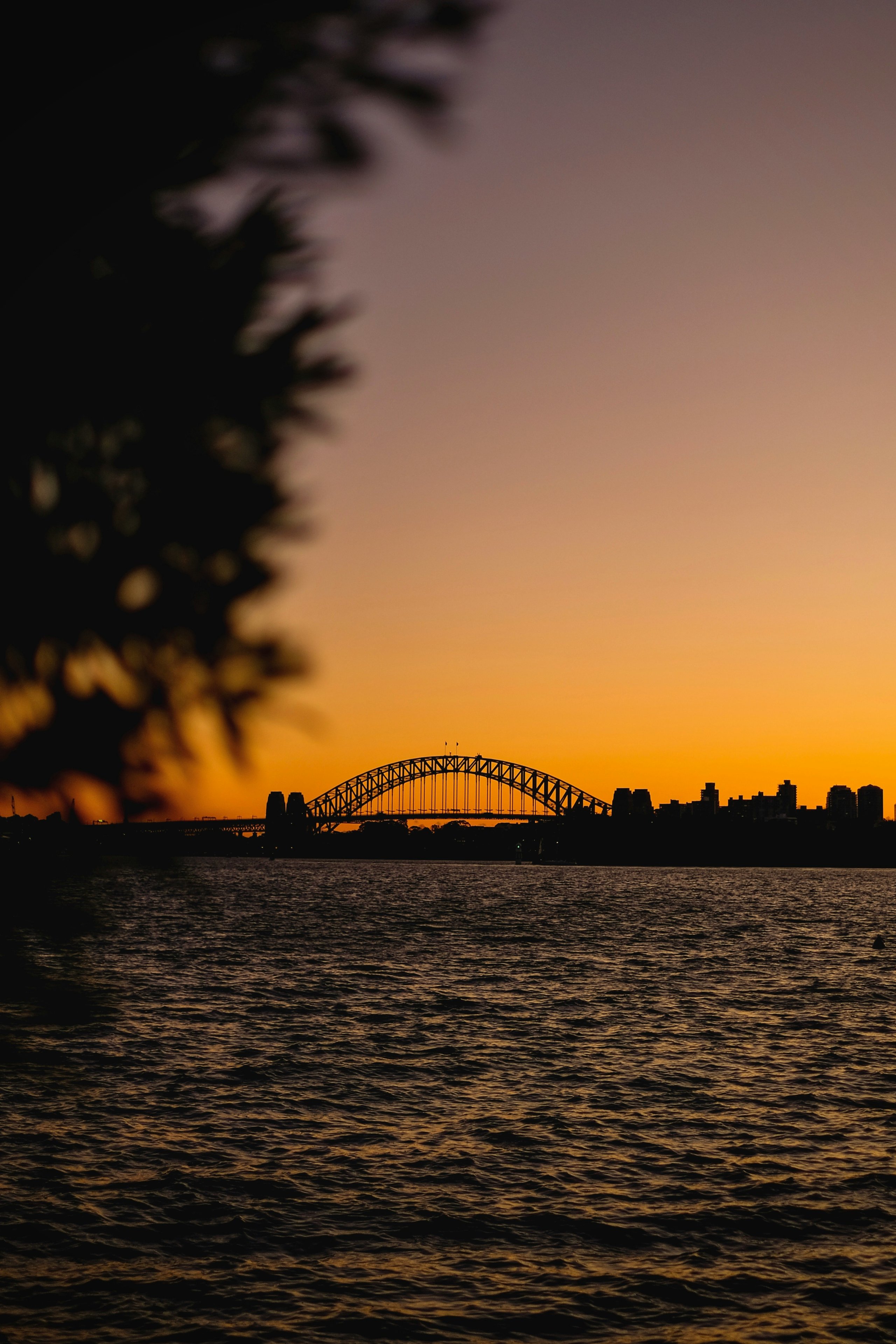 Sydney Harbour Bridge at sunset